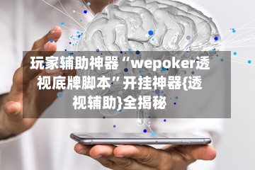 玩家辅助神器“wepoker透视底牌脚本”开挂神器{透视辅助}全揭秘-第3张图片