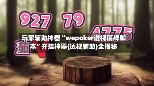 玩家辅助神器“wepoker透视底牌脚本”开挂神器{透视辅助}全揭秘-第2张图片