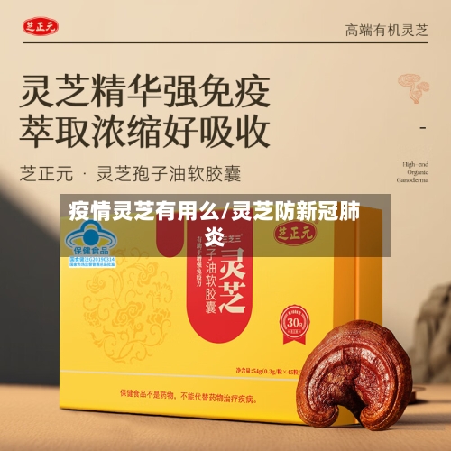 疫情灵芝有用么/灵芝防新冠肺炎-第2张图片