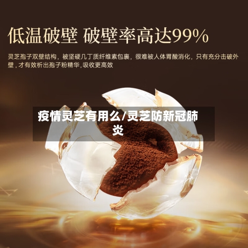 疫情灵芝有用么/灵芝防新冠肺炎-第3张图片