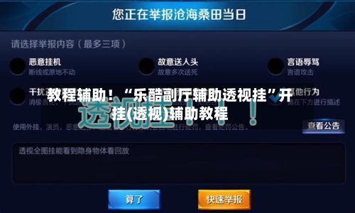 教程辅助！“乐酷副厅辅助透视挂”开挂(透视)辅助教程-第3张图片