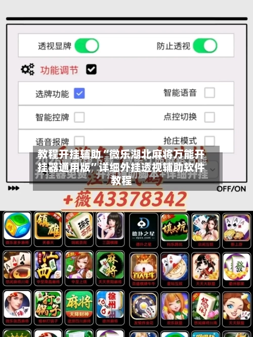 教程开挂辅助“微乐湖北麻将万能开挂器通用版”详细外挂透视辅助软件教程-第2张图片