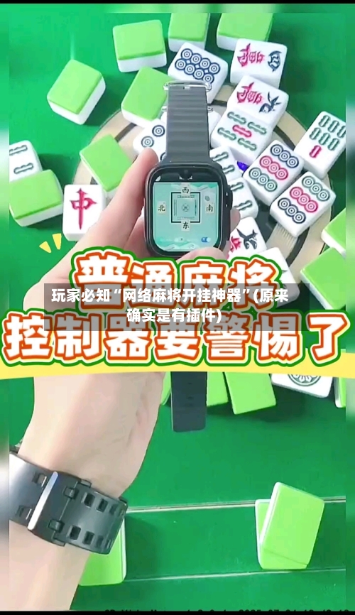 玩家必知“网络麻将开挂神器”(原来确实是有插件)-第3张图片