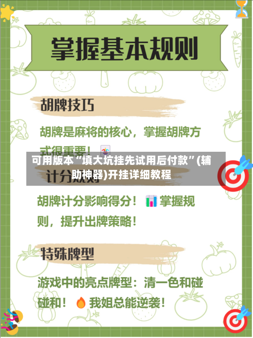可用版本“填大坑挂先试用后付款”(辅助神器)开挂详细教程-第3张图片