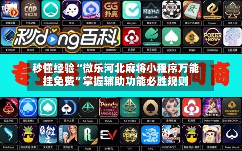 秒懂经验“微乐河北麻将小程序万能挂免费	”掌握辅助功能必胜规则-第2张图片