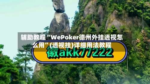 辅助教程“WePoker德州外挂透视怎么用	”(透视挂)详细用法教程-第2张图片