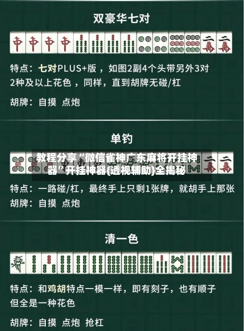 教程分享“微信雀神广东麻将开挂神器	”开挂神器{透视辅助}全揭秘-第2张图片