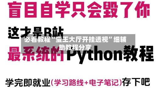 必看教程“蛮王大厅开挂透视”细辅助教程分享-第3张图片