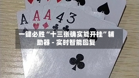 一键必胜“十三张确实能开挂”辅助器 - 实时智能回复-第2张图片