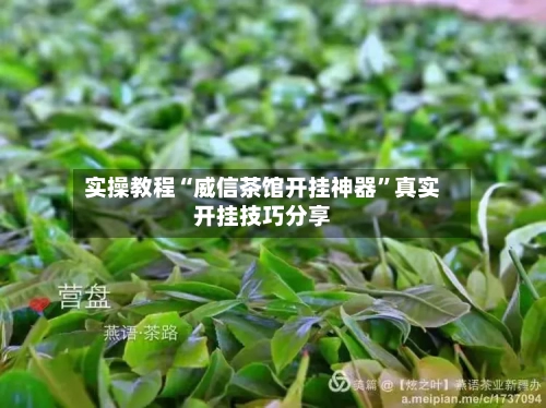 实操教程“威信茶馆开挂神器”真实开挂技巧分享-第3张图片