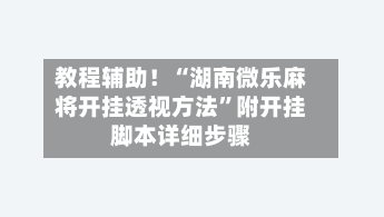 教程辅助！“湖南微乐麻将开挂透视方法”附开挂脚本详细步骤-第3张图片