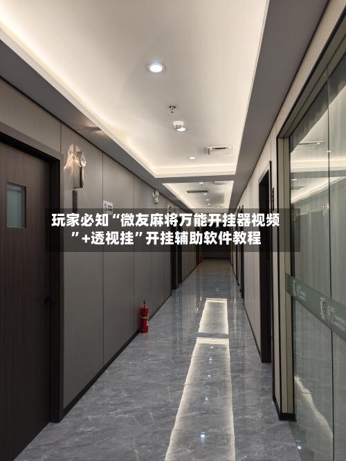 玩家必知“微友麻将万能开挂器视频”+透视挂	”开挂辅助软件教程-第2张图片