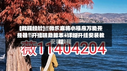 [教程经验]“微乐麻将小程序万能开挂器”开挂辅助脚本+详细开挂安装教程-第2张图片