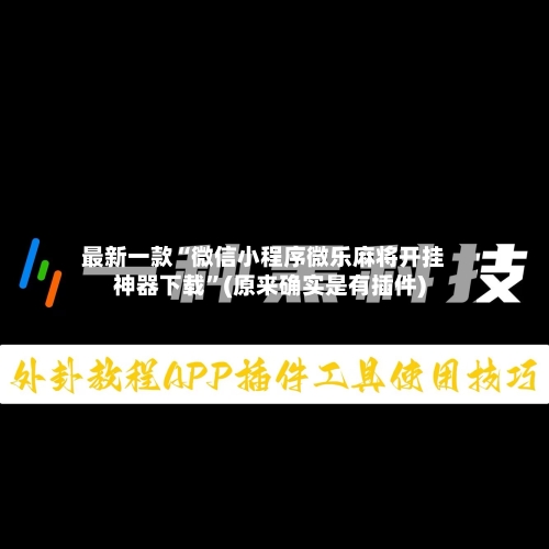 最新一款“微信小程序微乐麻将开挂神器下载	”(原来确实是有插件)-第2张图片