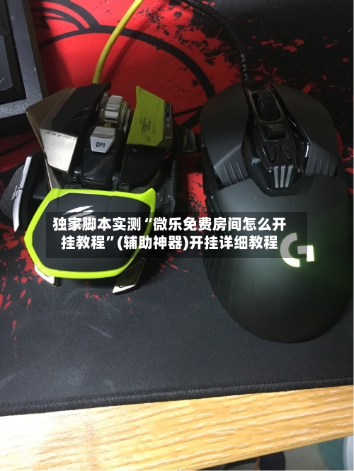 独家脚本实测“微乐免费房间怎么开挂教程	”(辅助神器)开挂详细教程-第3张图片