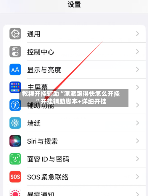 教程开挂辅助“派派跑得快怎么开挂”开挂辅助脚本+详细开挂-第2张图片