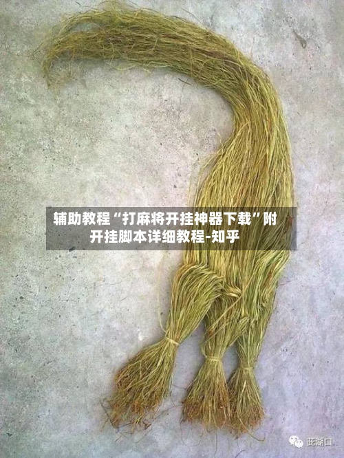 辅助教程“打麻将开挂神器下载”附开挂脚本详细教程-知乎-第2张图片