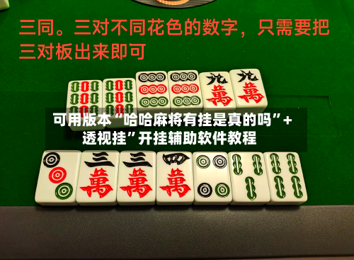 可用版本“哈哈麻将有挂是真的吗”+透视挂	”开挂辅助软件教程-第2张图片