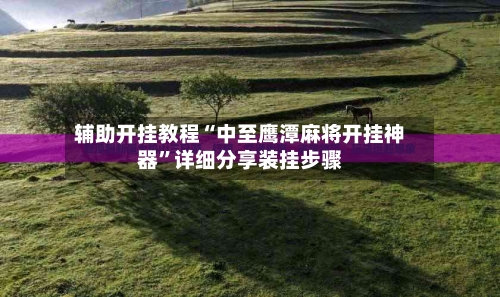 辅助开挂教程“中至鹰潭麻将开挂神器”详细分享装挂步骤-第3张图片