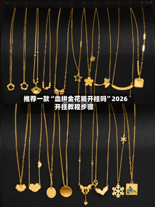 推荐一款“血拼金花能开挂吗”2026开挂教程步骤-第2张图片