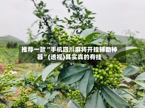 推荐一款“手机四川麻将开挂辅助神器”(透视)其实真的有挂-第3张图片