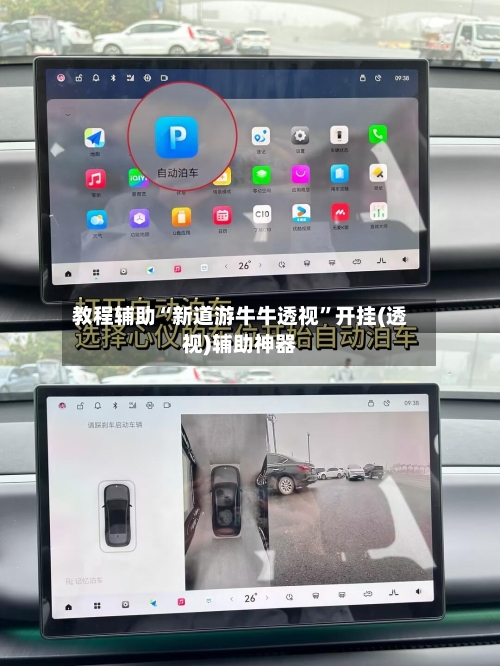 教程辅助“新道游牛牛透视”开挂(透视)辅助神器-第2张图片