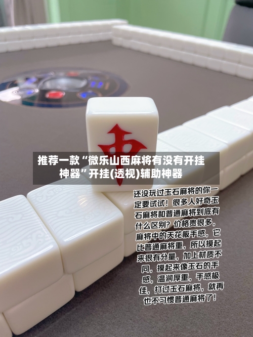 推荐一款“微乐山西麻将有没有开挂神器”开挂(透视)辅助神器-第2张图片