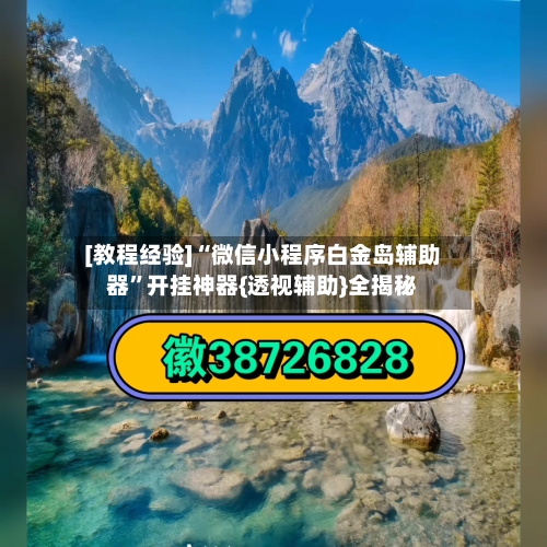 [教程经验]“微信小程序白金岛辅助器”开挂神器{透视辅助}全揭秘-第3张图片
