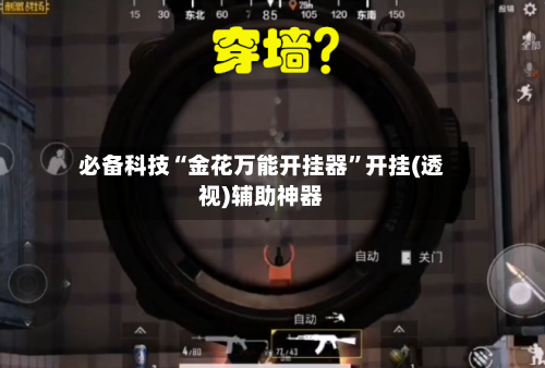 必备科技“金花万能开挂器”开挂(透视)辅助神器