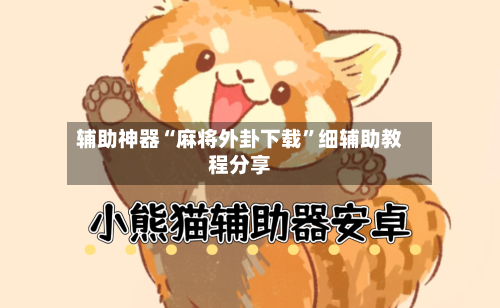 辅助神器“麻将外卦下载”细辅助教程分享