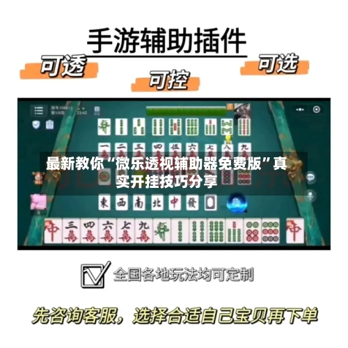 最新教你“微乐透视辅助器免费版”真实开挂技巧分享-第3张图片