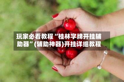 玩家必看教程“桂林字牌开挂辅助器	”(辅助神器)开挂详细教程-第2张图片