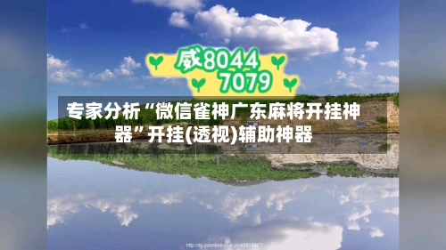 专家分析“微信雀神广东麻将开挂神器	”开挂(透视)辅助神器-第2张图片