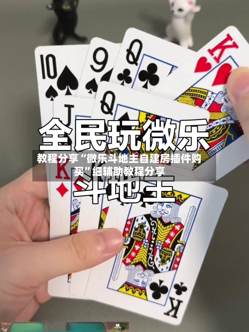 教程分享“微乐斗地主自建房插件购买”细辅助教程分享-第2张图片