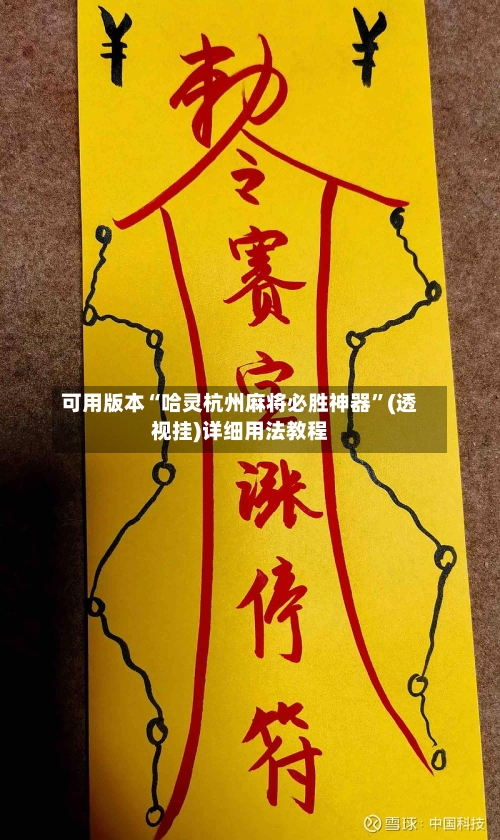 可用版本“哈灵杭州麻将必胜神器”(透视挂)详细用法教程-第3张图片