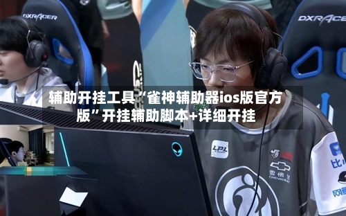 辅助开挂工具“雀神辅助器ios版官方版”开挂辅助脚本+详细开挂-第3张图片