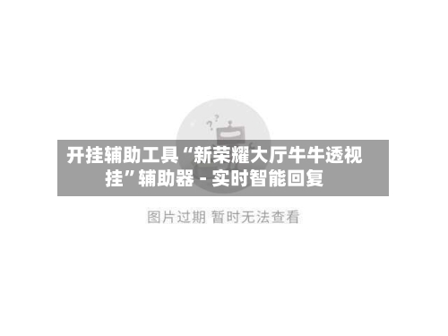 开挂辅助工具“新荣耀大厅牛牛透视挂”辅助器 - 实时智能回复-第2张图片