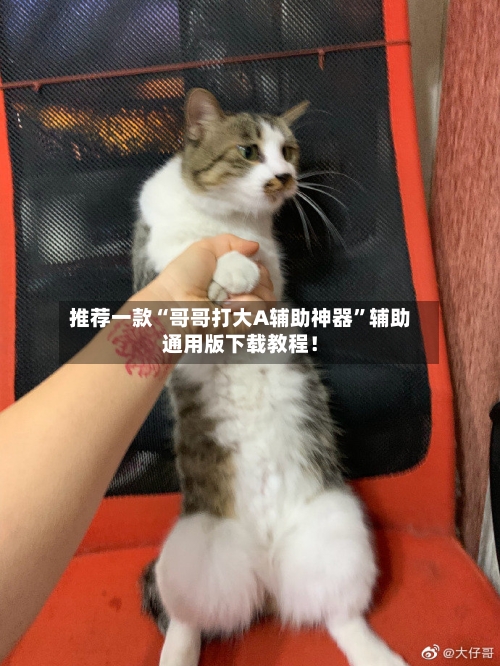 推荐一款“哥哥打大A辅助神器”辅助通用版下载教程！-第3张图片