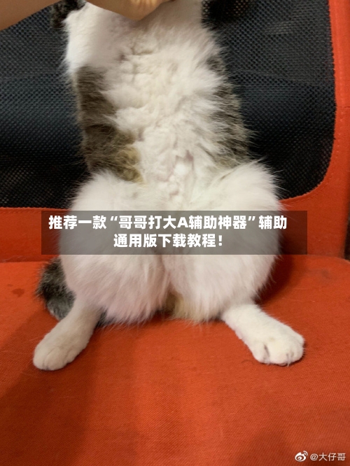 推荐一款“哥哥打大A辅助神器	”辅助通用版下载教程！-第2张图片