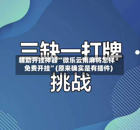 辅助开挂神器“微乐云南麻将怎样免费开挂”(原来确实是有插件)-第2张图片