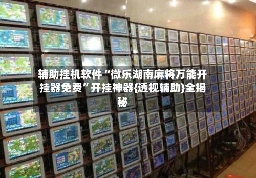 辅助挂机软件“微乐湖南麻将万能开挂器免费”开挂神器{透视辅助}全揭秘