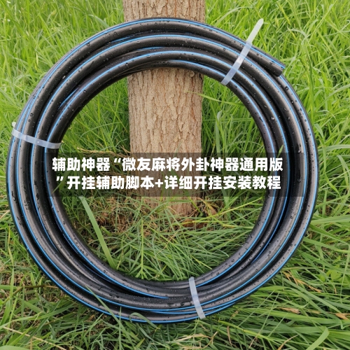 辅助神器“微友麻将外卦神器通用版”开挂辅助脚本+详细开挂安装教程-第3张图片