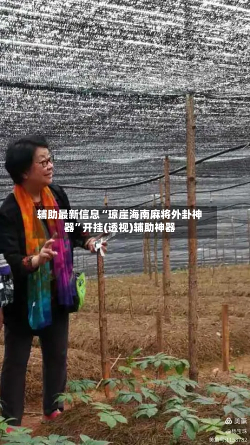 辅助最新信息“琼崖海南麻将外卦神器”开挂(透视)辅助神器-第2张图片