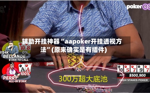 辅助开挂神器“aapoker开挂透视方法”(原来确实是有插件)