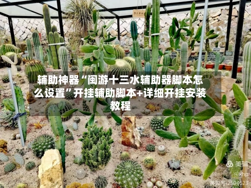 辅助神器“闽游十三水辅助器脚本怎么设置”开挂辅助脚本+详细开挂安装教程-第3张图片