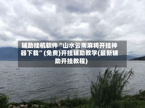 辅助挂机软件“山水云南麻将开挂神器下载”(免费)开挂辅助教学(最新辅助开挂教程)-第3张图片
