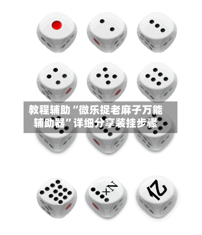 教程辅助“微乐捉老麻子万能辅助器”详细分享装挂步骤-第2张图片
