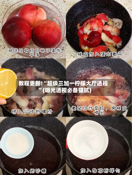 教程更新!“超级三加一柠檬大厅透视	”(曝光透视必备猫腻)-第2张图片