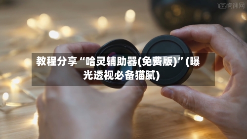 教程分享“哈灵辅助器(免费版)	”(曝光透视必备猫腻)-第2张图片