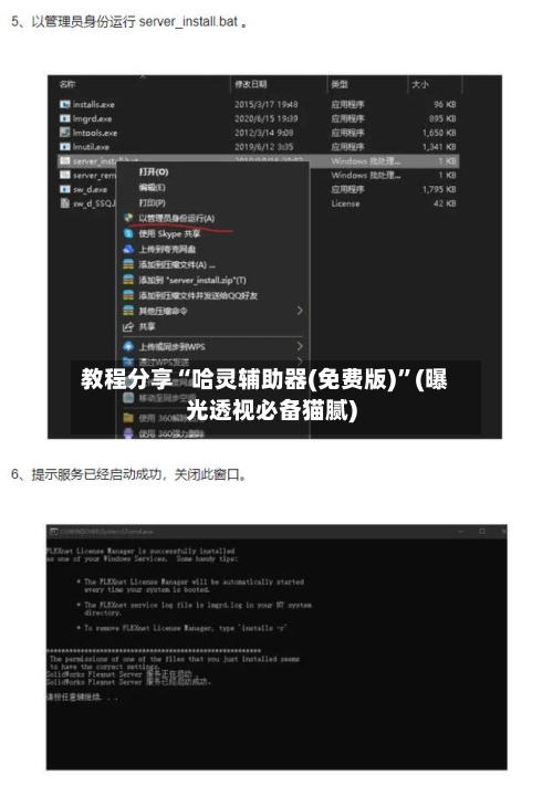 教程分享“哈灵辅助器(免费版)”(曝光透视必备猫腻)-第3张图片